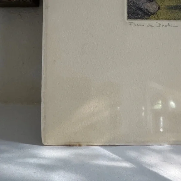 Pass de Duck by T.P. Speer - Limited Edition Cat Art Print 109/200 - Picture 3 of 6